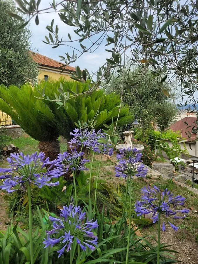 B&B Bellavista Savona Bed & Breakfast